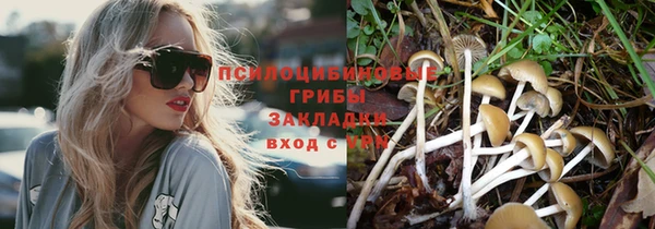 герыч Белокуриха